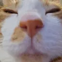 naninunenyo