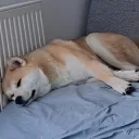 Аватар mirrox227