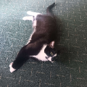 avatar AlexiSirgayus