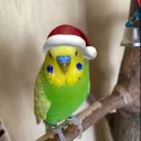 Аватар mreggman12347