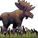 moose0110