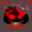 ntrepidgamer