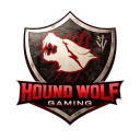 avatar HoundWolfGaming