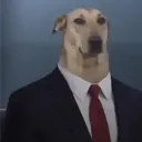 zemarchich