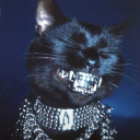 avatar Ronan 🇮🇹