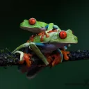 epicprocahrm