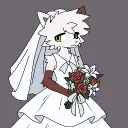 dinowo.