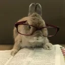 k_hxwnq