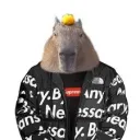 bac0nh1ckoff