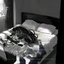 pxnkt
