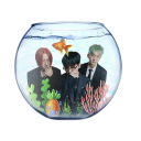 avatar ୨ৎ