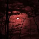 man_look_at_vamp_