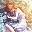 akaishin1133