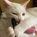 avatar strawberiiceu