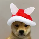 troopaparakoopa