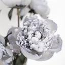 peonycloudysky