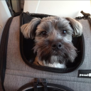 .steveee#6466's avatar