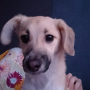 avatar tam. ten. QWERTY.