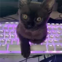 Аватар fghiuxdh