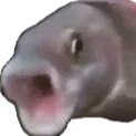 sockman22229408