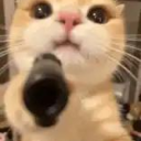 avatar Teodorazv🐈