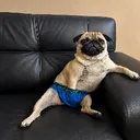 sergio_fdz