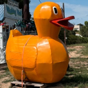 avatar Anonymous Duck