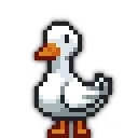 fungalduck