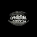chmkq avatar