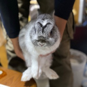 tanaka121takahiro39155's Avatar