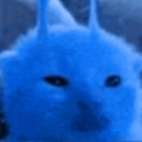 avatar Blue alien cat