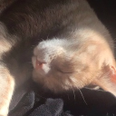 avatar ✿ 𝓜𝓮𝓵 ✿