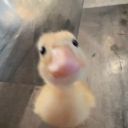 ぱわはら