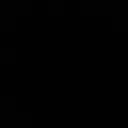 99990041