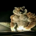 avatar Agent Brokoli 31