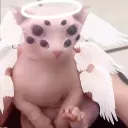 thespiffingsithttv