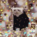 dogegirly