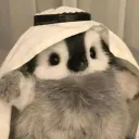 juanmacolcr