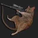 ratsguy