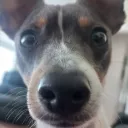 mactehpumba