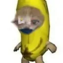 DailyDoseOfKarma avatar