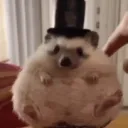 _skatzoxiros_