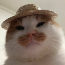 avatar ˌnänSHəˈlänt☻