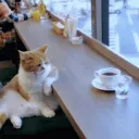 norb.coffee