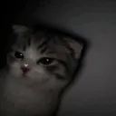 monday.sucks avatar