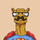 stevethecamel2436