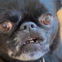 coffee2679#8077's avatar