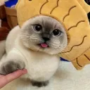 toyoissoysauce avatar