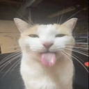 zajohn2577's Avatar