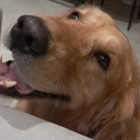 avatar 𝔸𝕡𝕖𝕩ℍ𝕦𝕟𝕥𝕖𝕣